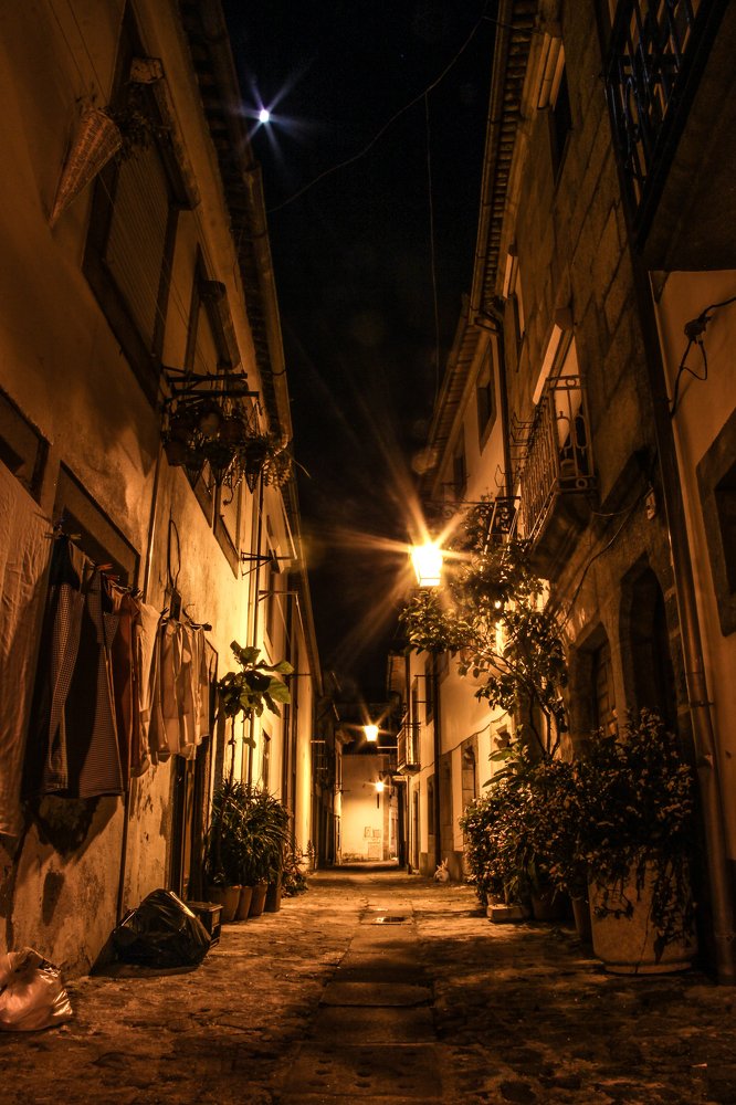 Good night madam moon