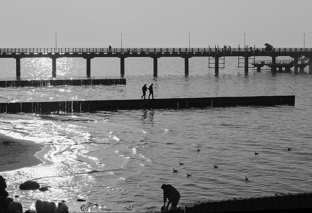 Зеленоградск. Дороги солнца