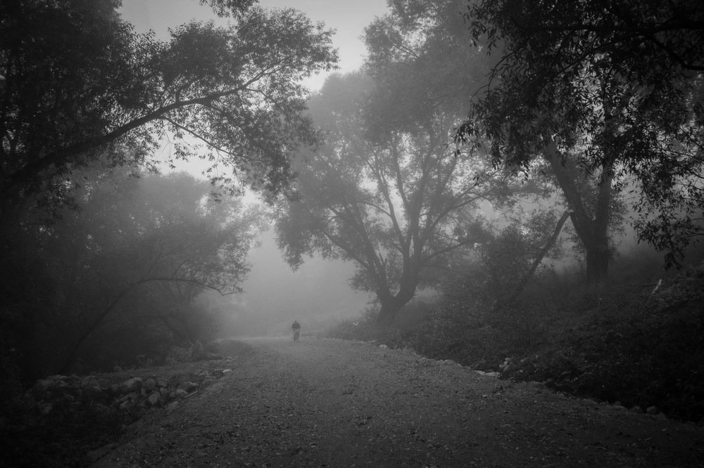 сквозь туман*