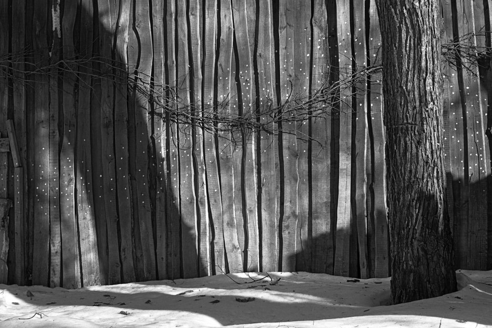 Photograph by Alexandr Kurylev