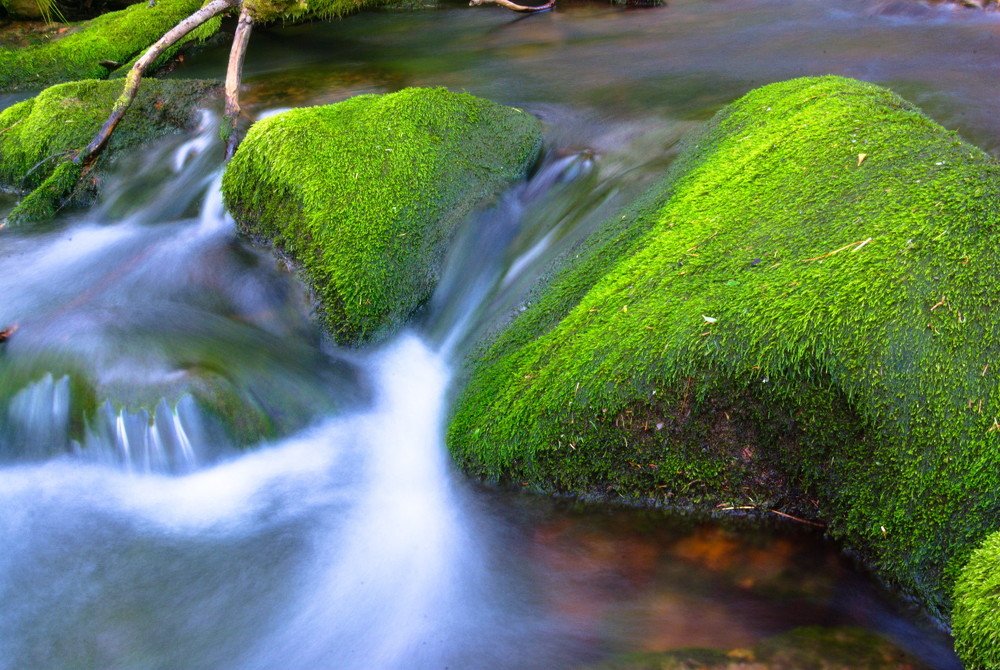 Водоскат