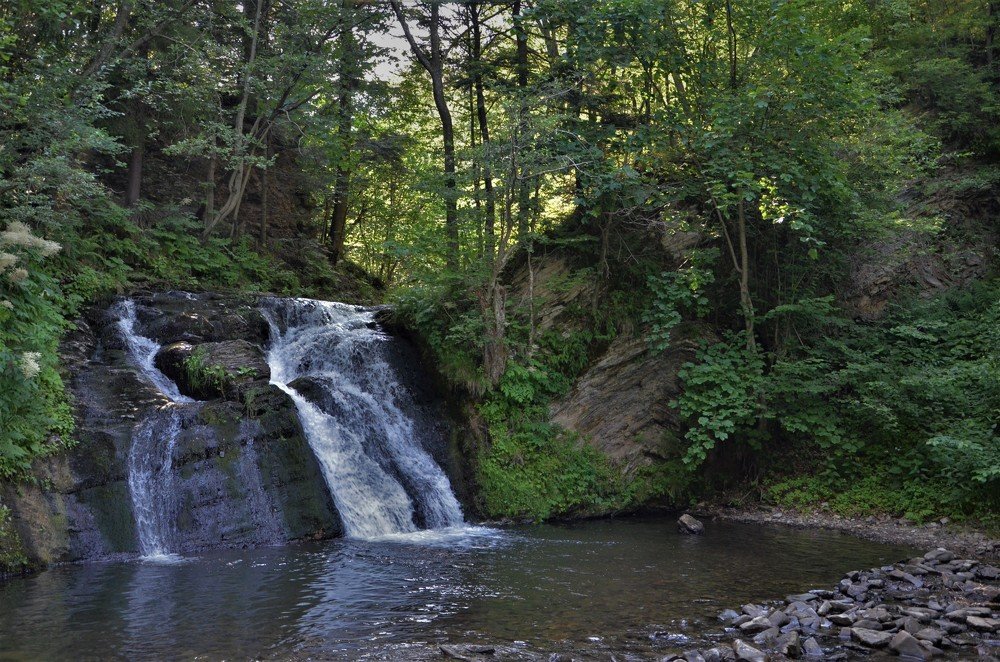 Лесной поток...