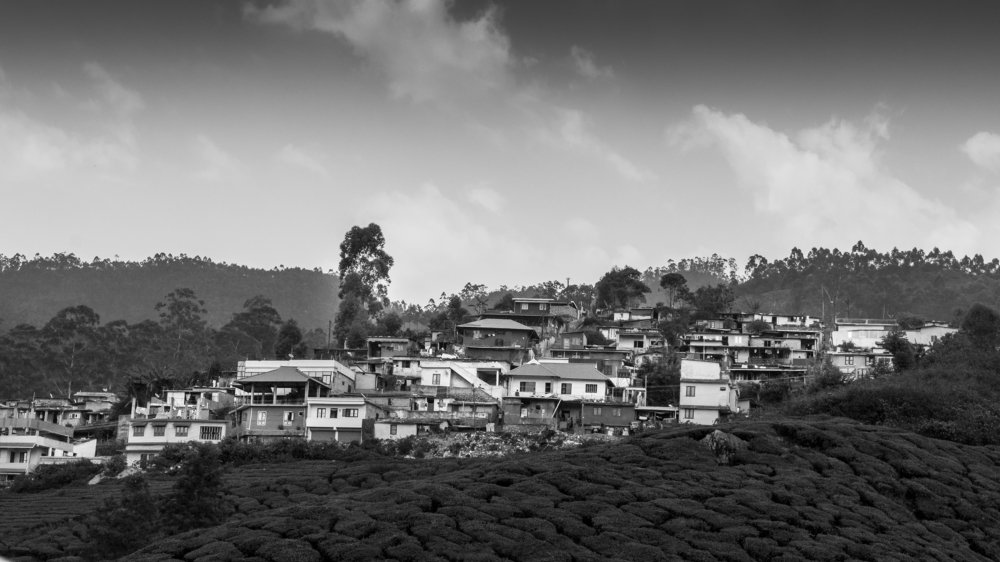 Monochrome Munnar