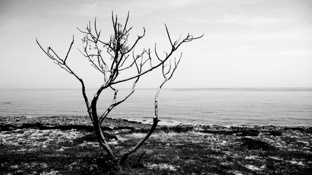 Photograph by Елена