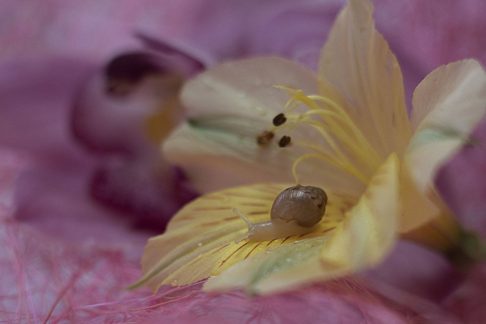 Photograph by Екатерина Вивюрская