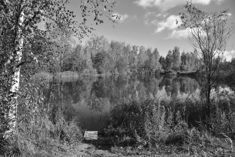 Утро на озере