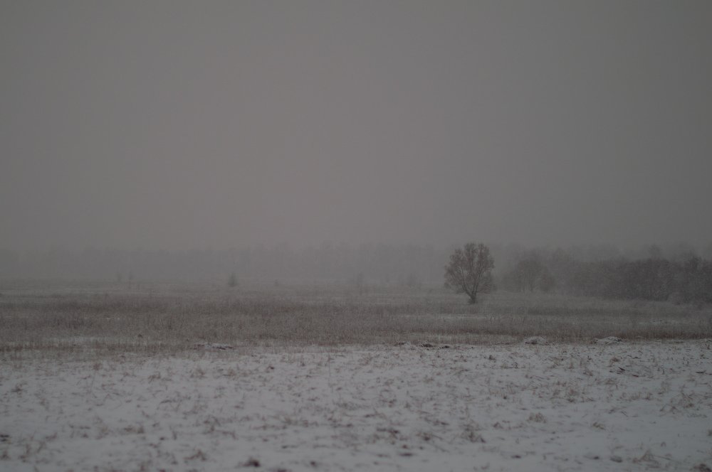 Photograph by Ivan Kotenko