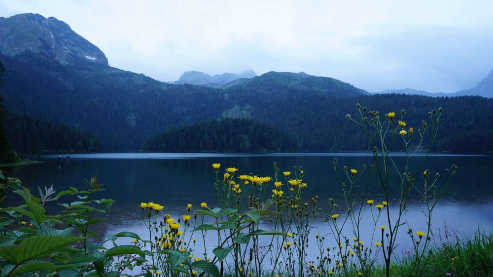 Photograph by Елена
