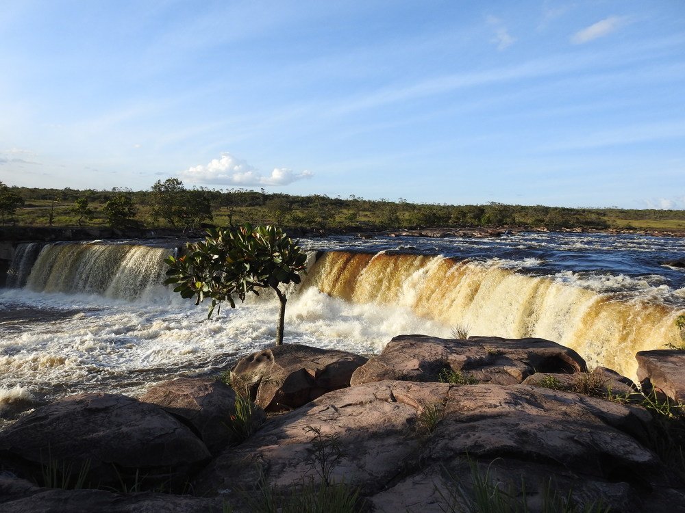 Arapena Meru dando Vida