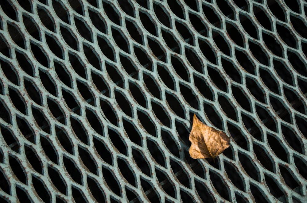 Над решеткой