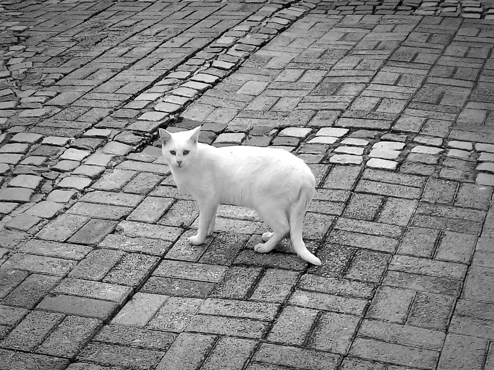 Photograph by Алия Байсыкова