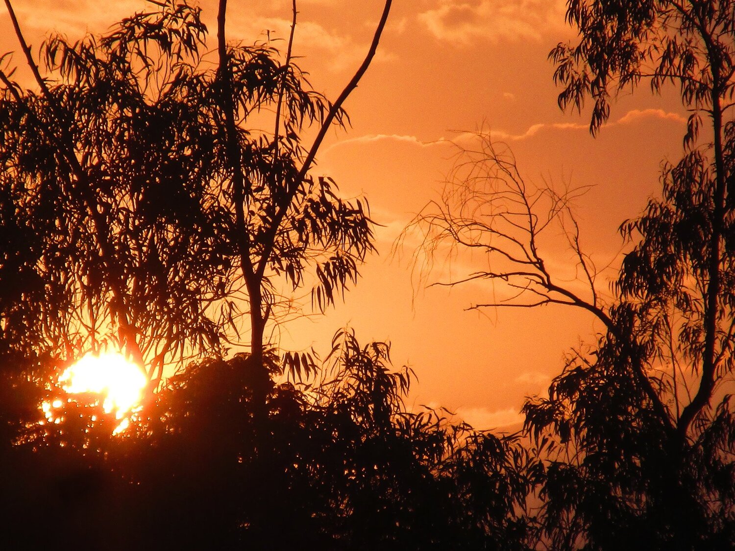 Evening down