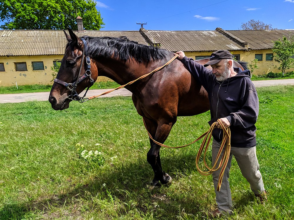 Несущие ветер