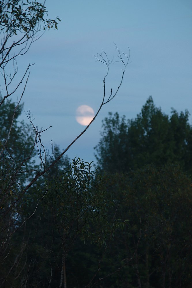 Photograph by Мария Сычёва