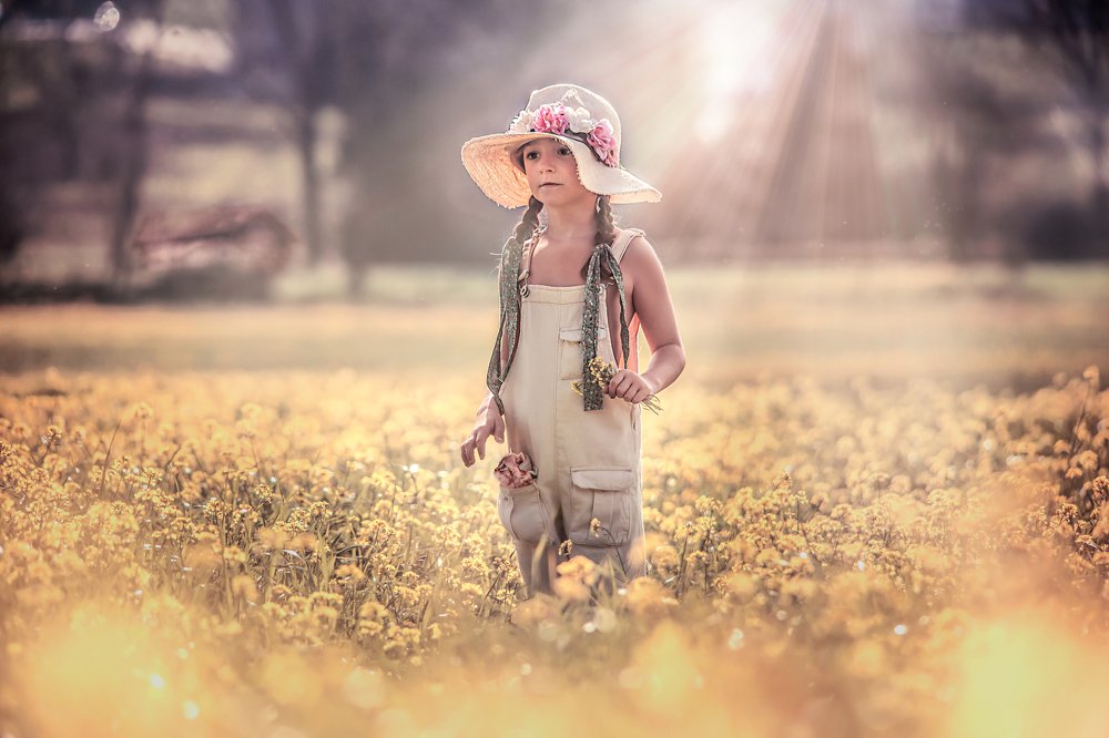 The Kitten´s Pocket