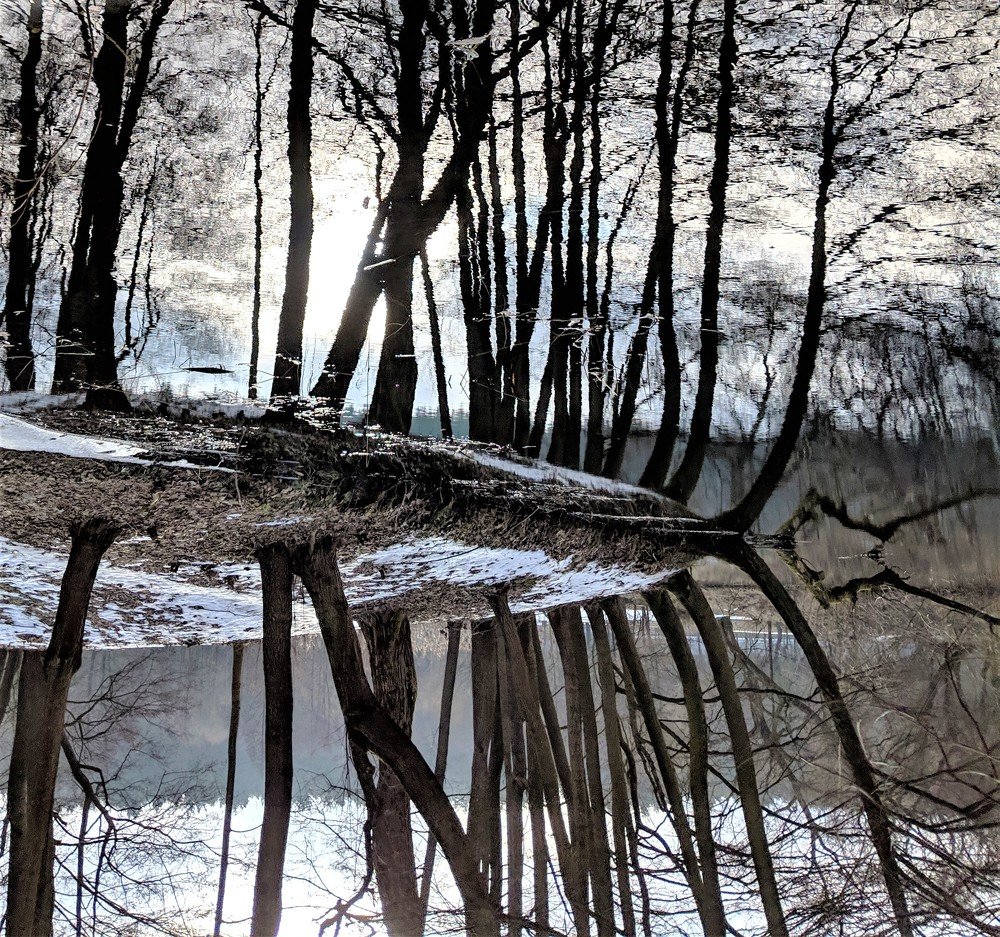 Photograph by Владимир Шнип