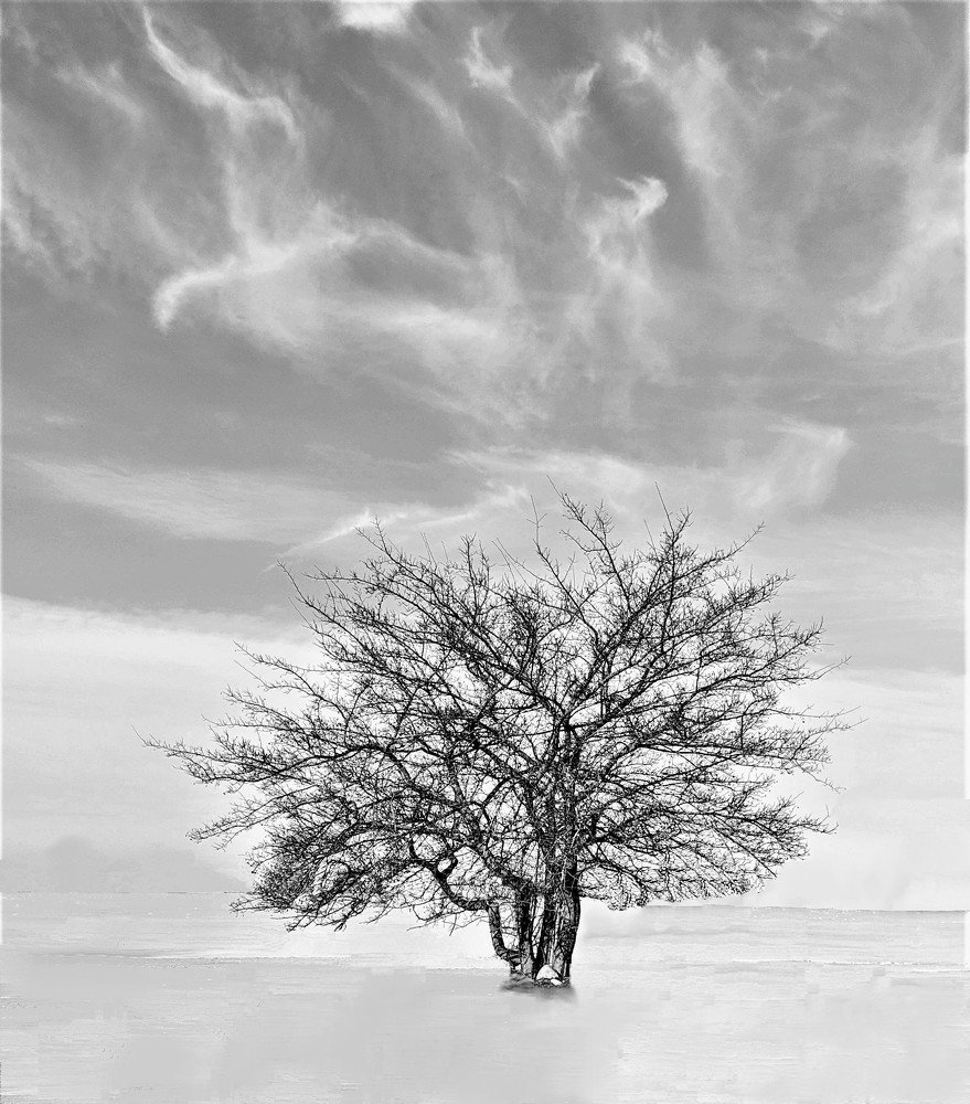 Photograph by Владимир Шнип