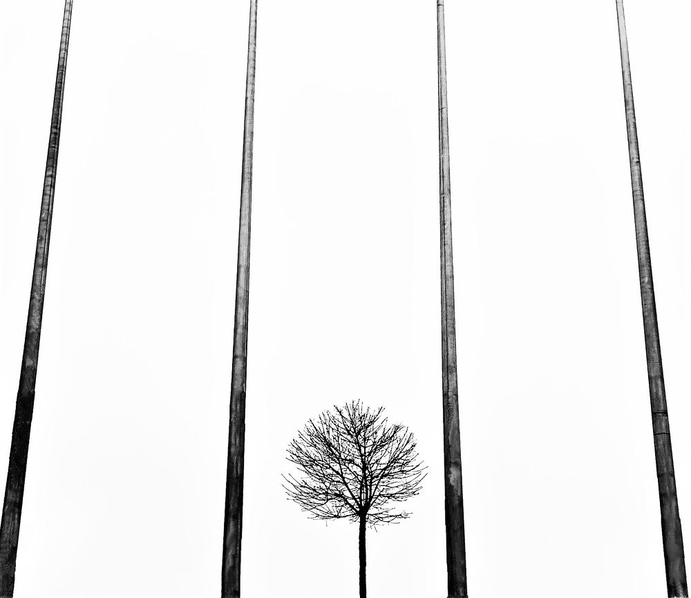 Photograph by Владимир Шнип