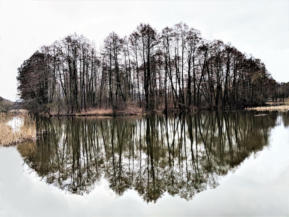 Photograph by Владимир Шнип