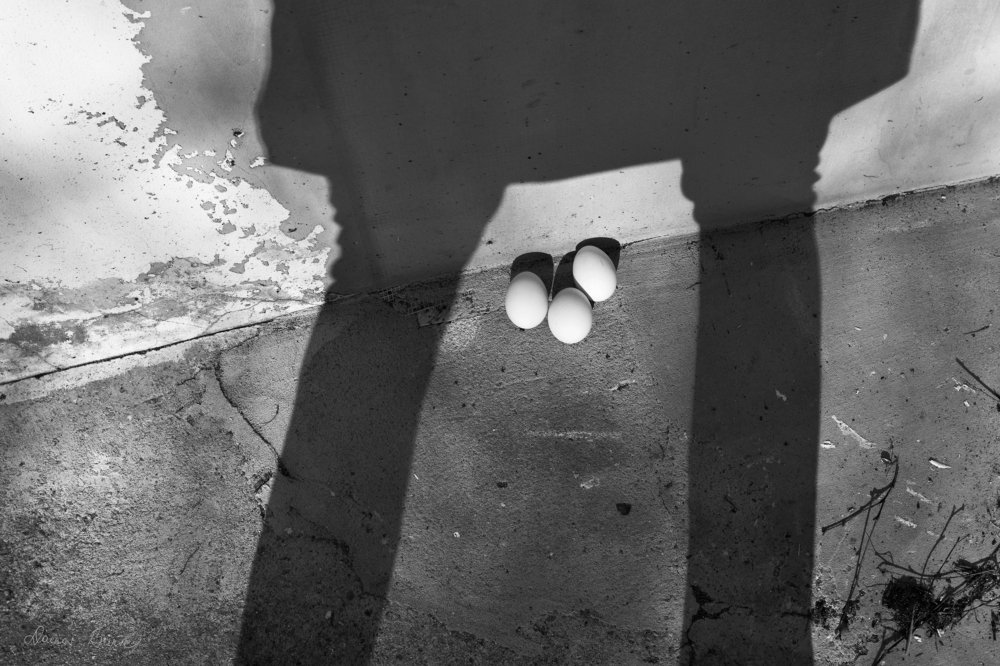 Как давно вы встречались с Посхальным зайцем?