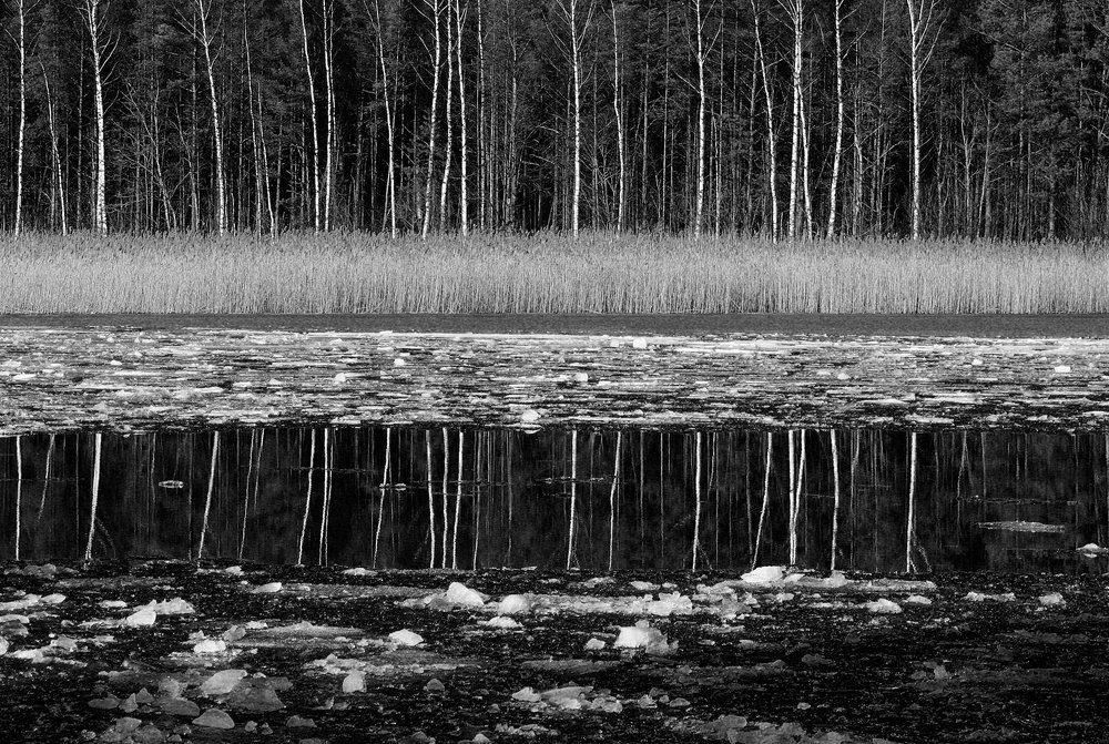 Весеннее отражение