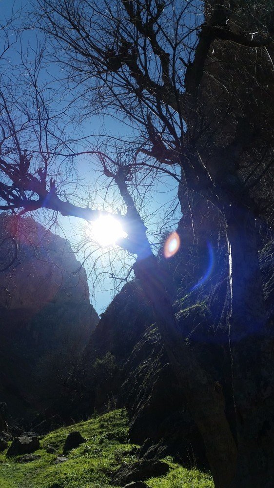 the sun