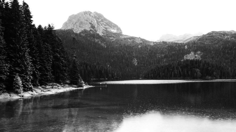 Photo #3188626