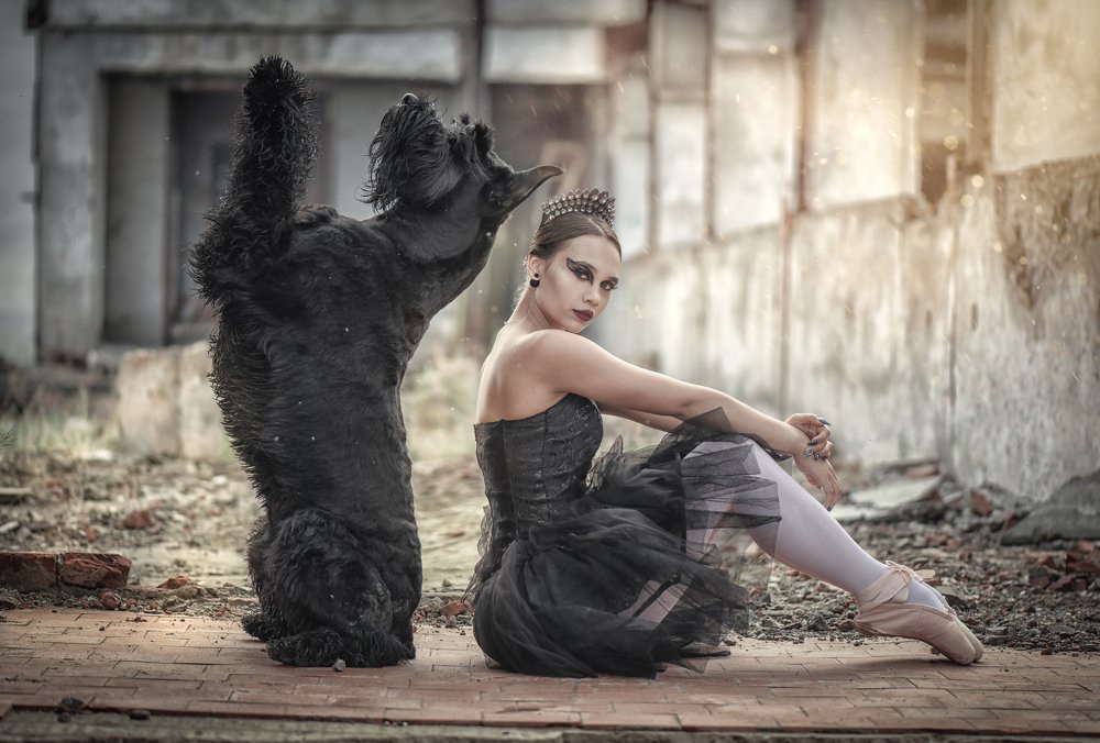 черный лебедь