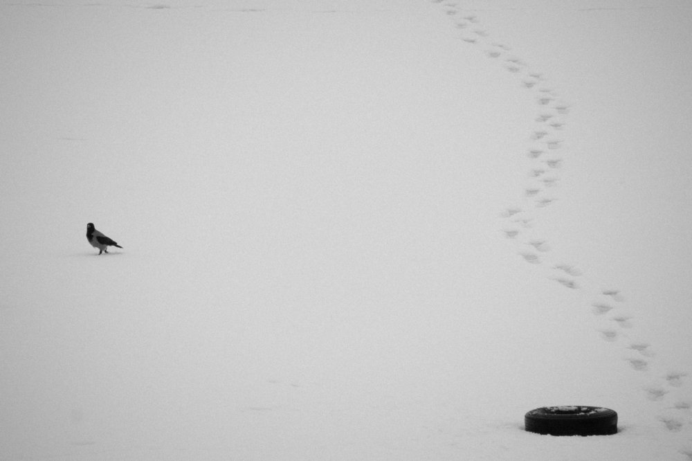 Индивидуальность. Уйти с проторенного пути