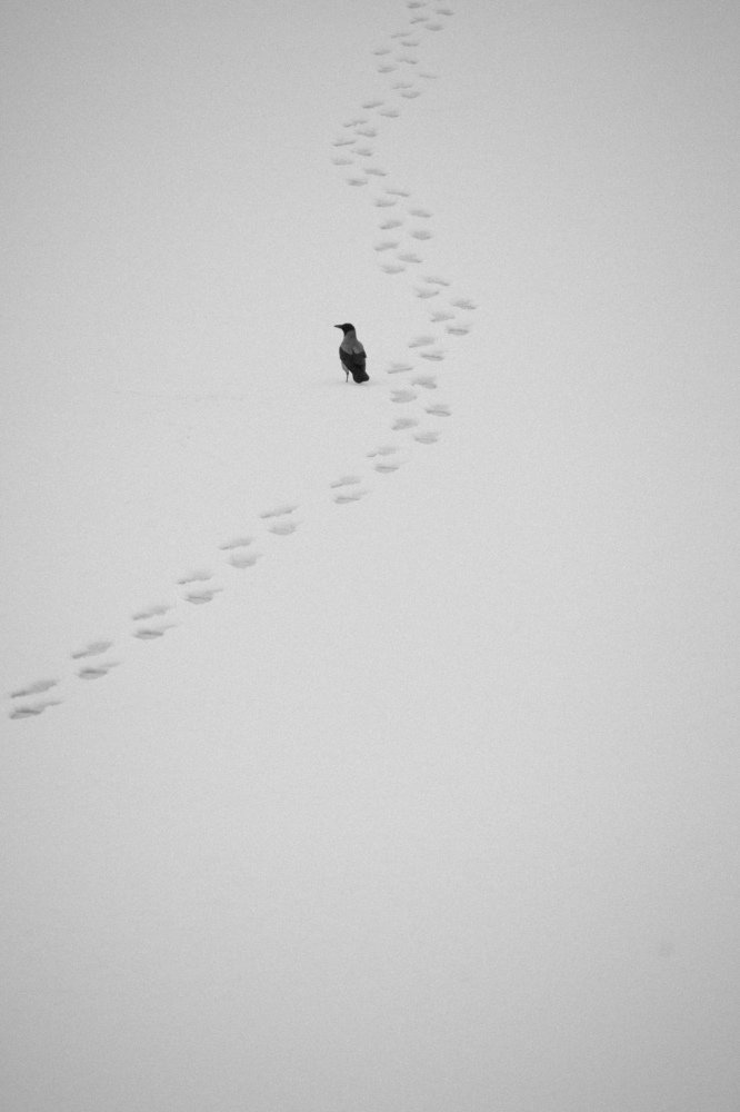 Что было вчера - уже не важно. Что будет завтра - неизвестно.