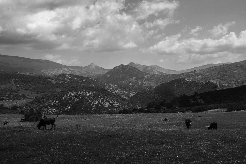 Aïn Soltane Tunisia