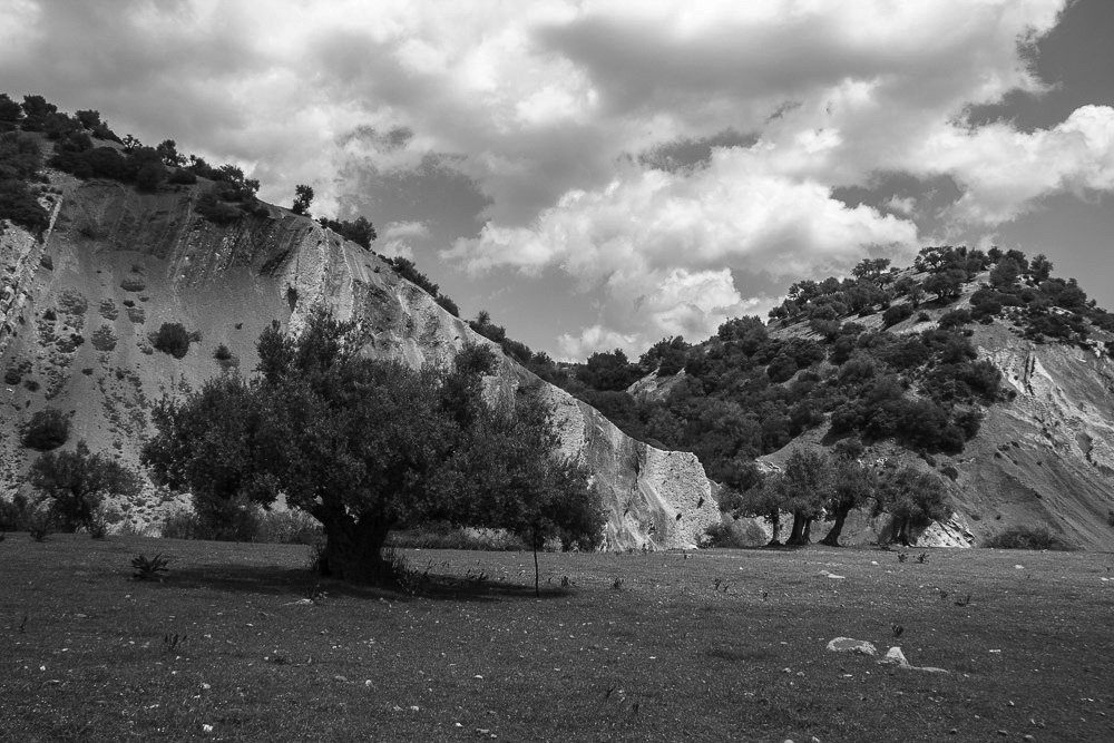 Aïn Soltane Tunisia