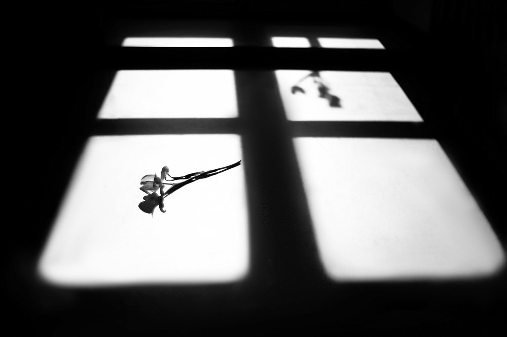 Фотография автора Prokhorenko Alexander