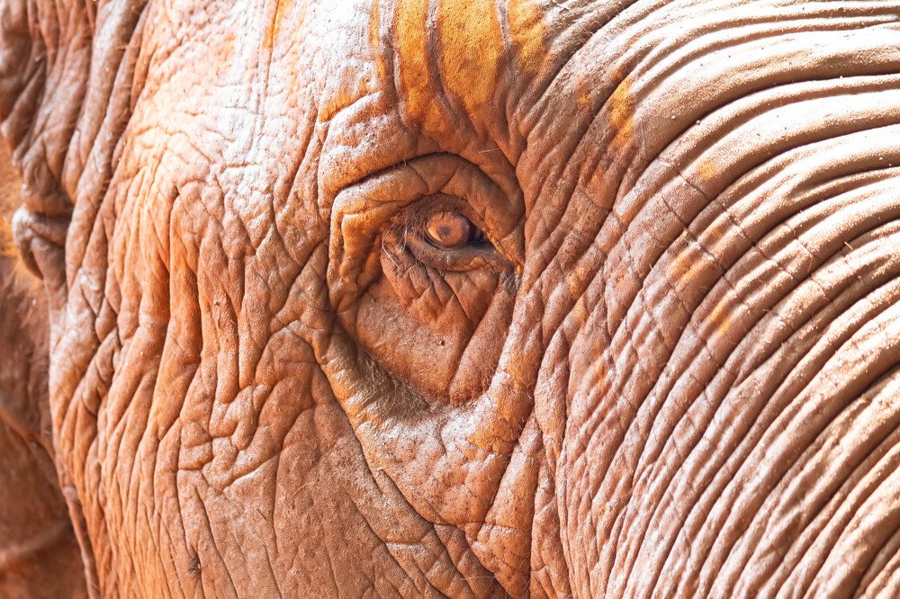 Photograph by Мари Полищук