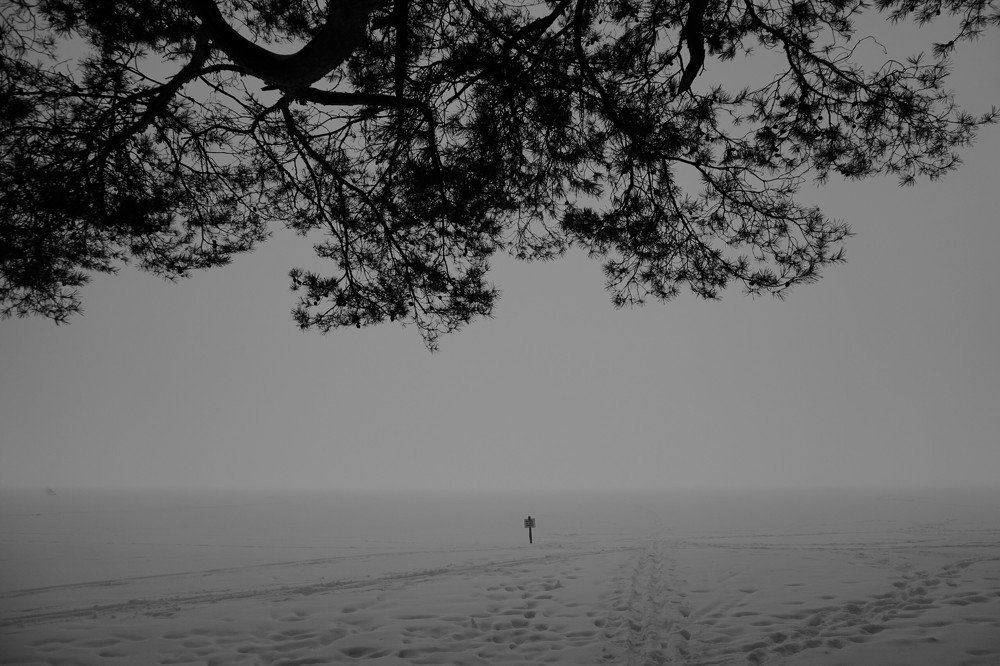 Melancholia
