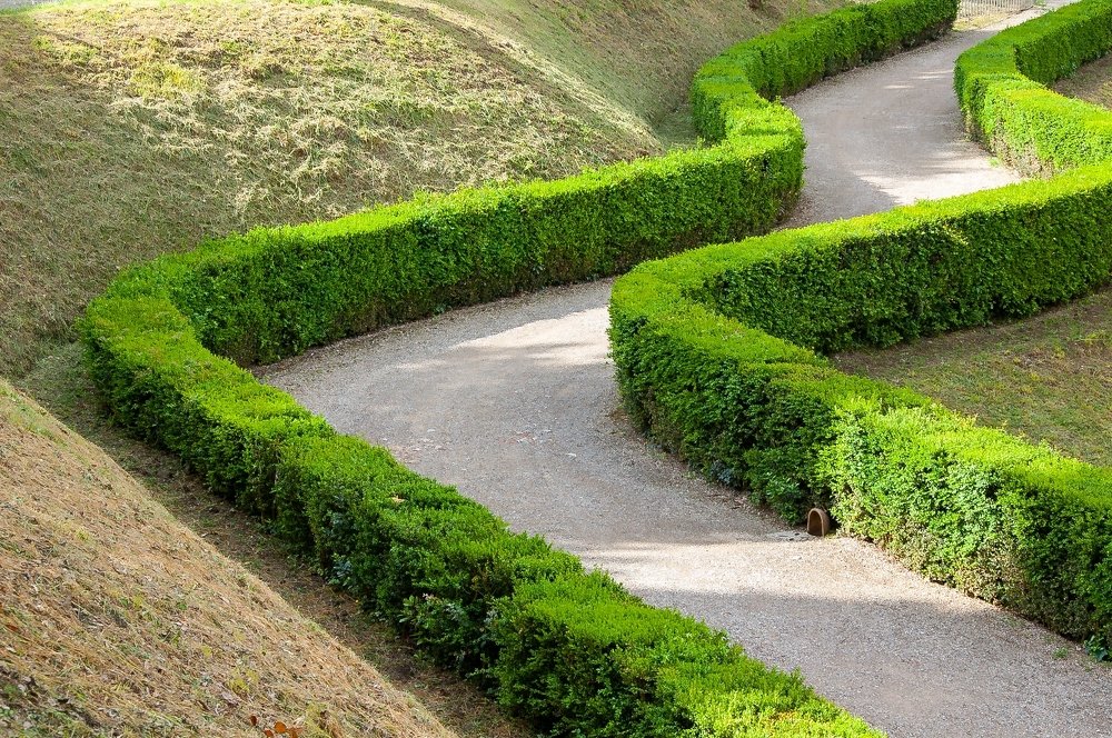 Фотография автора Андрей Симонов