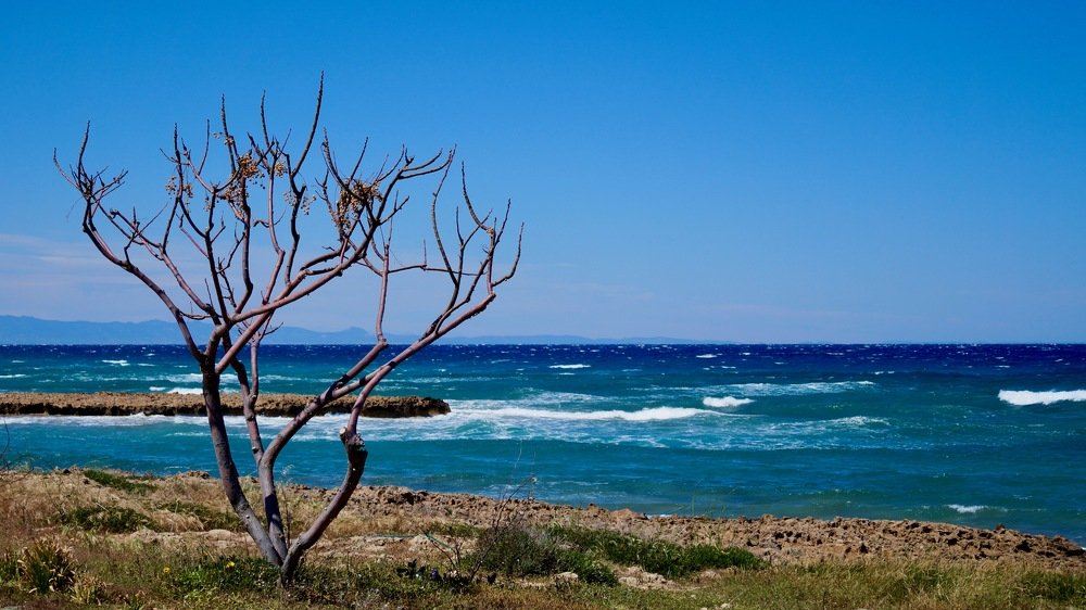 Photograph by Елена