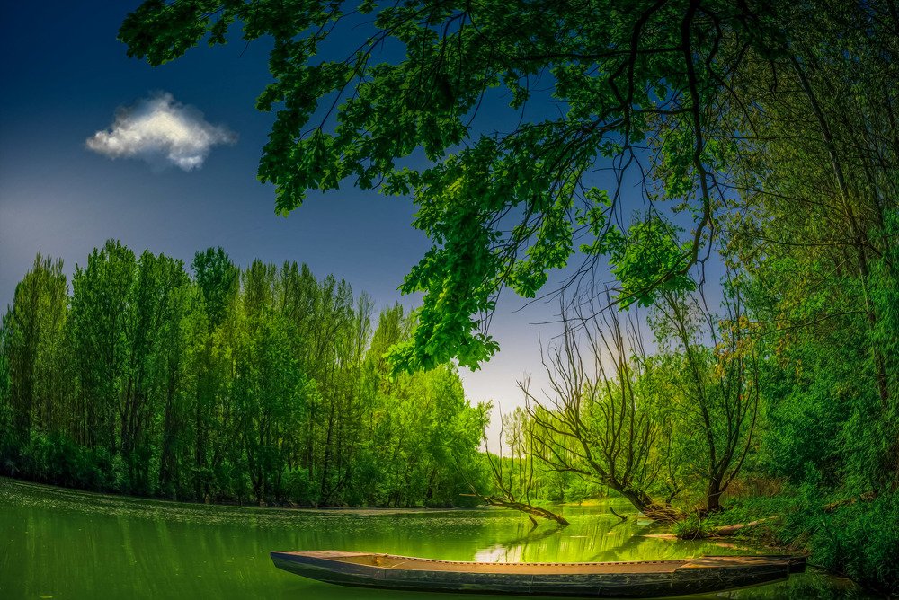 Are you home from the sea, my soul balladeer…