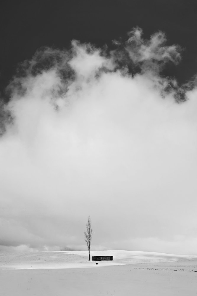 Hunt in the Cold Paradise