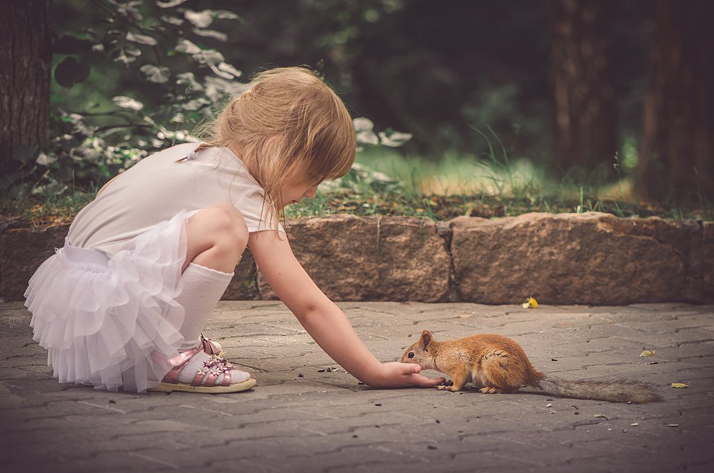 Девочка кормит белочку