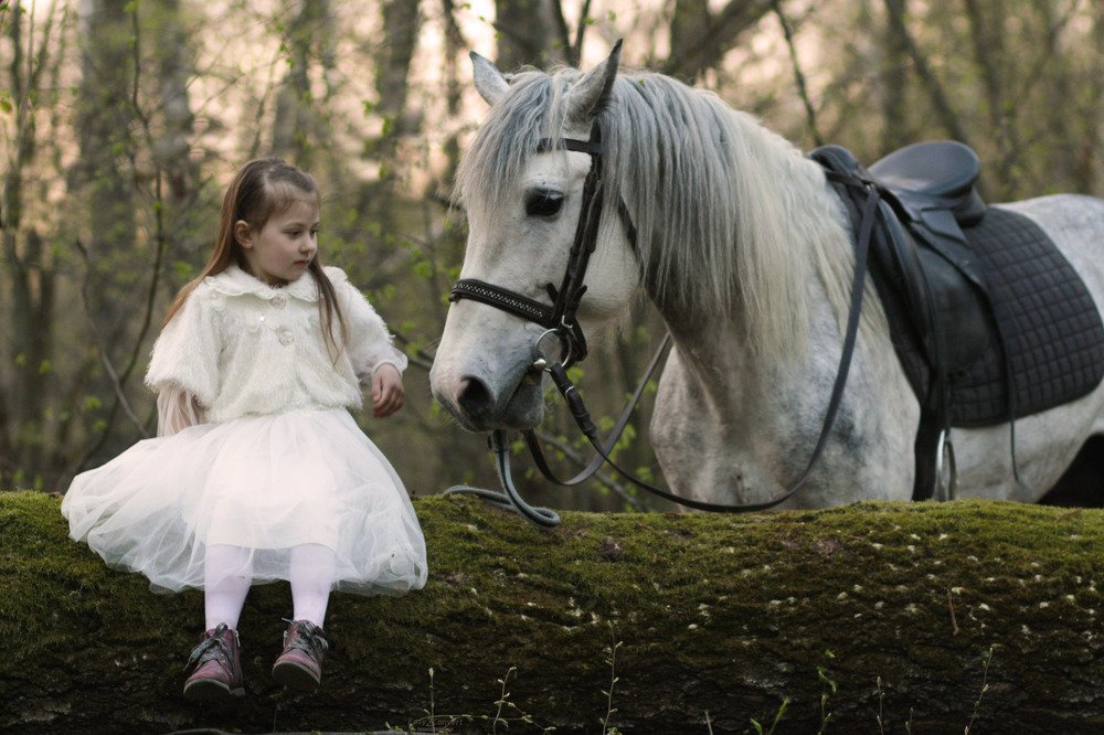 Лучший друг