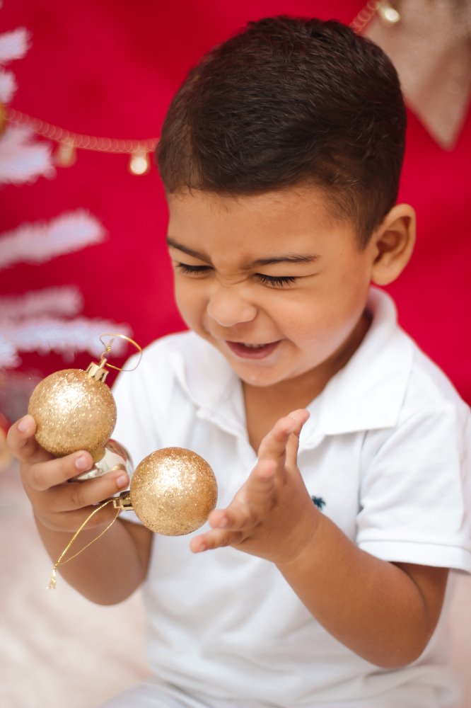 Christmas happiness