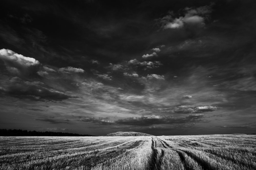 Дорога к прошлому