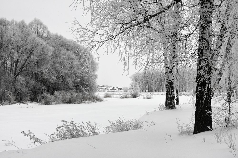 Photograph by Сергей Подгоров