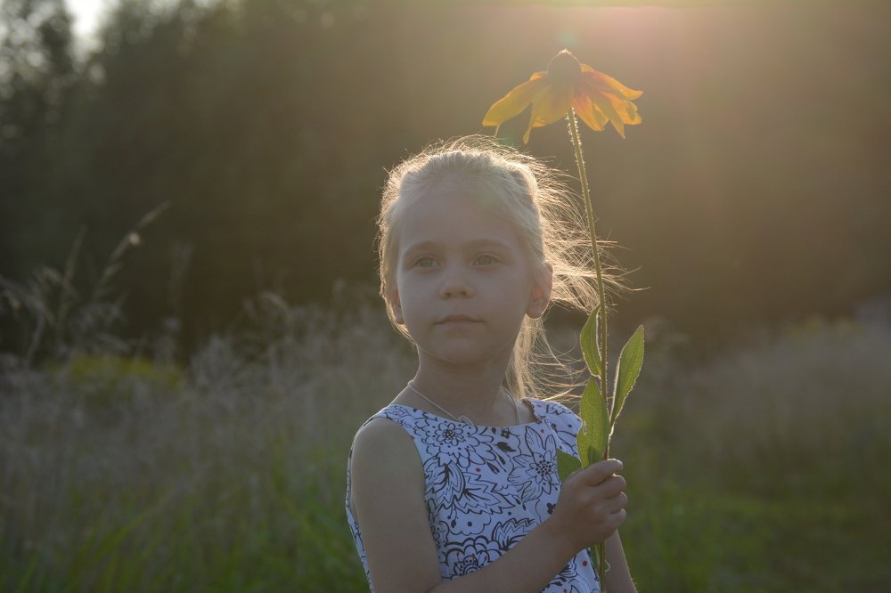 Летний вечер