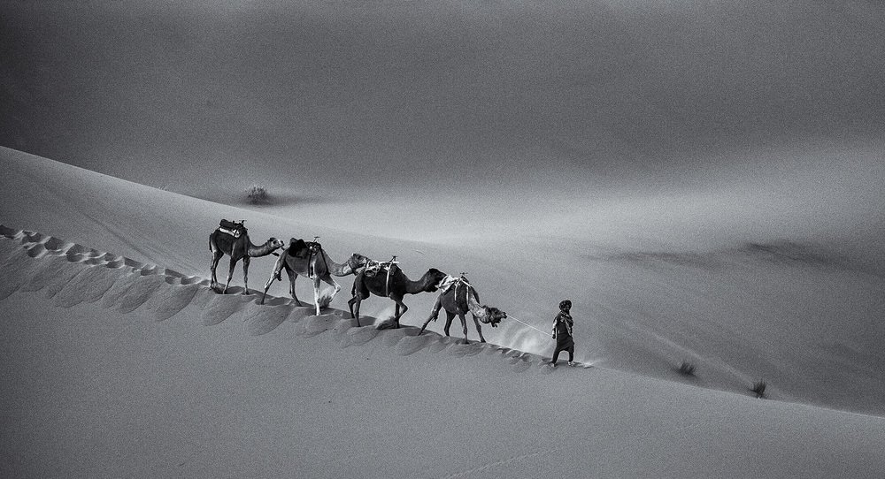 Поднимается ветер