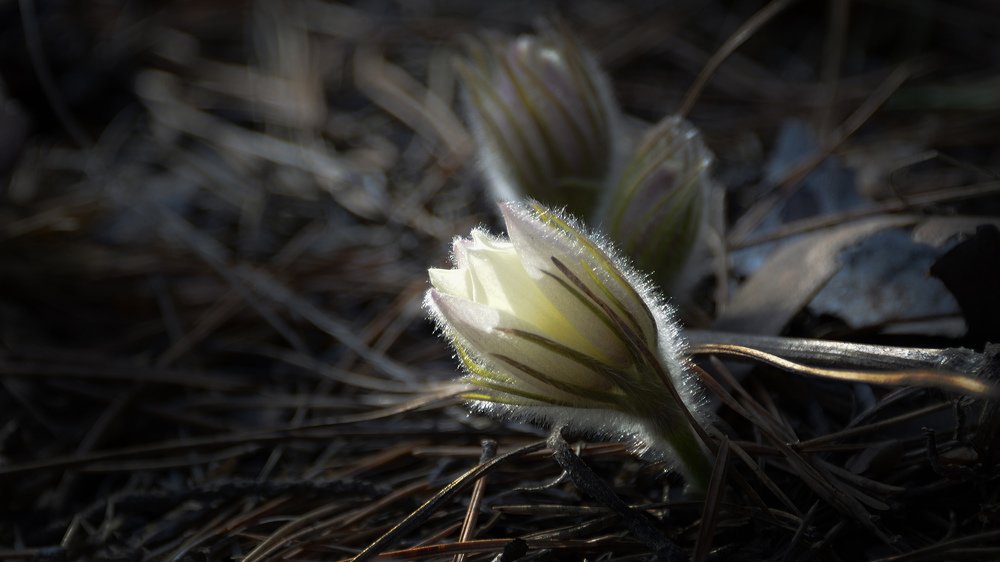 Начало мая.