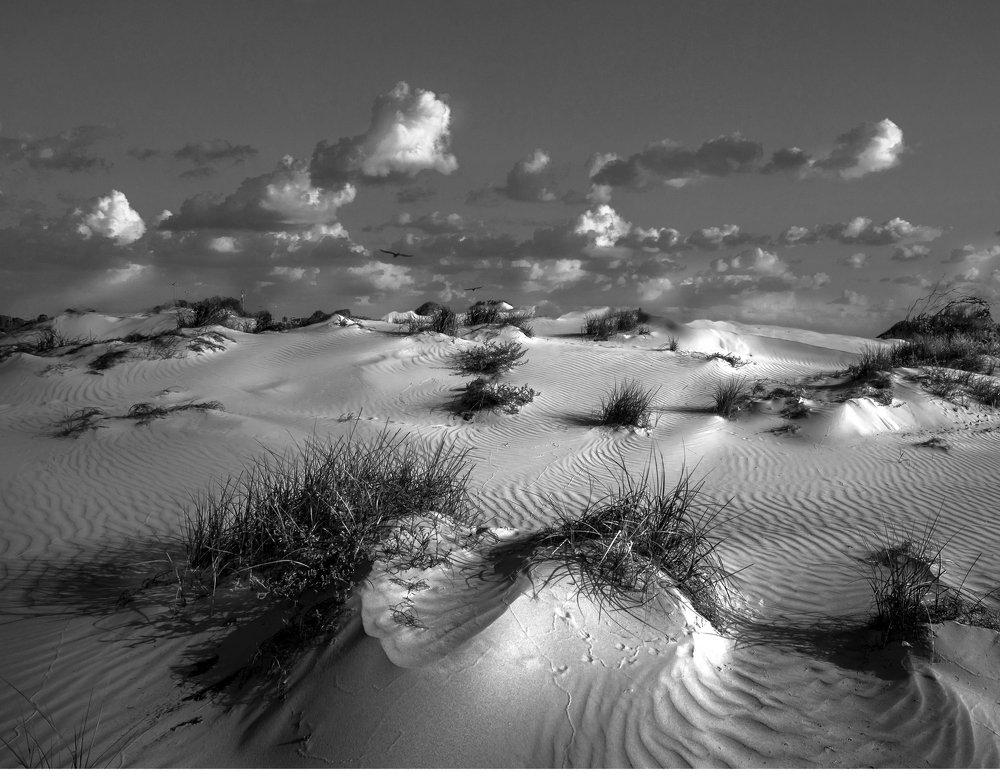 Photograph by Leonid Lan