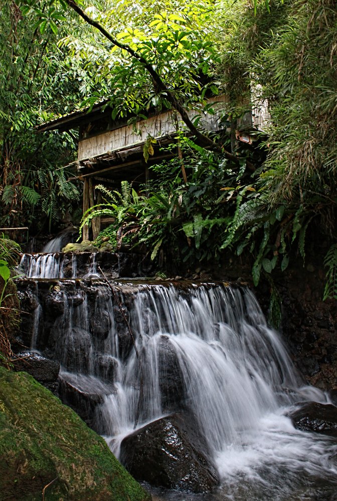 Photograph by Ages ragil