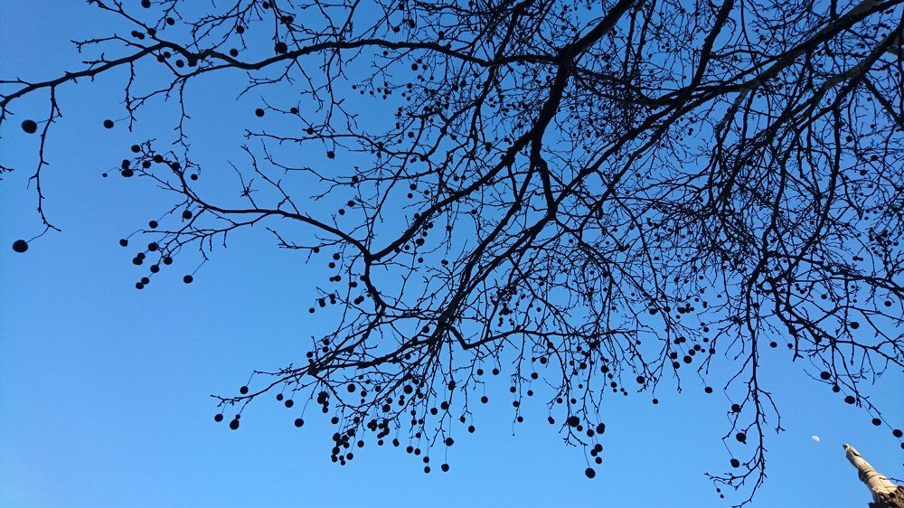 Natural gradient